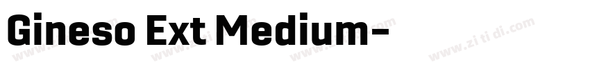 Gineso Ext Medium字体转换